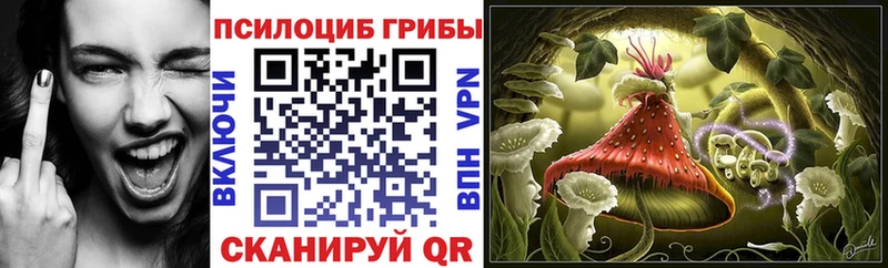 Псилоцибиновые грибы MAGIC MUSHROOMS  купить наркотик  Лукоянов 